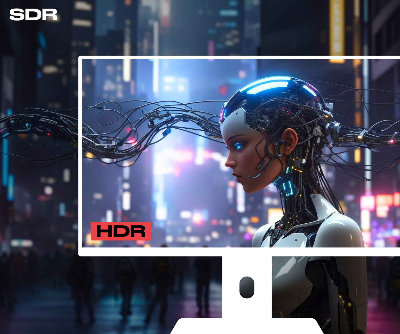 Gaming Monitor | 27" | IPS | WQHD | 360Hz