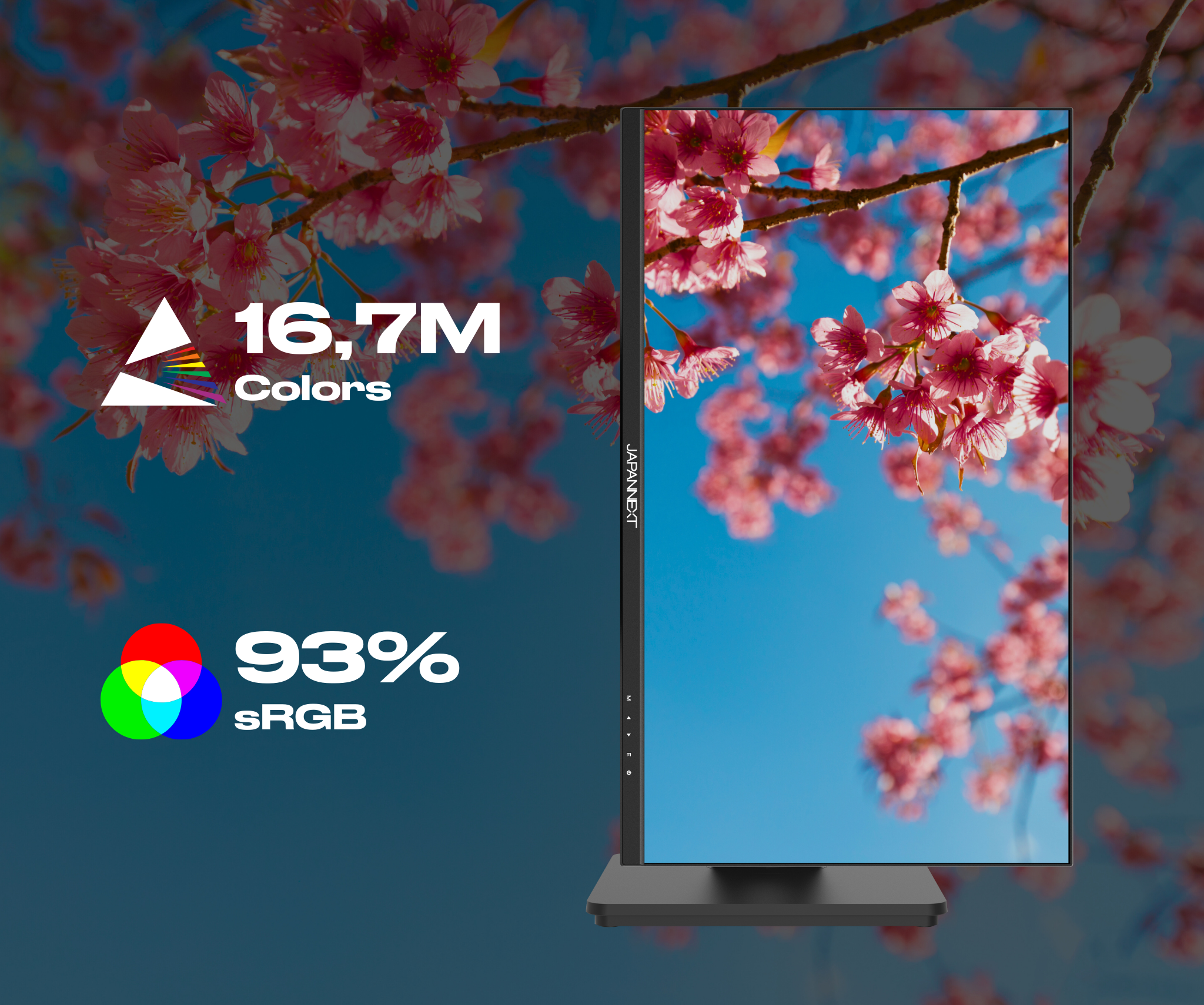 Monitor | 21.5" | FULL HD | USB-C (+ Ladung 65W)