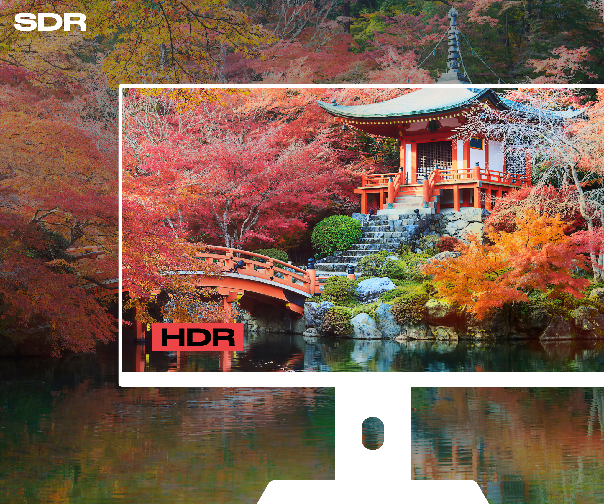 Office Monitor | 28" | 4K UHD | USB-C (+ 65W charging)