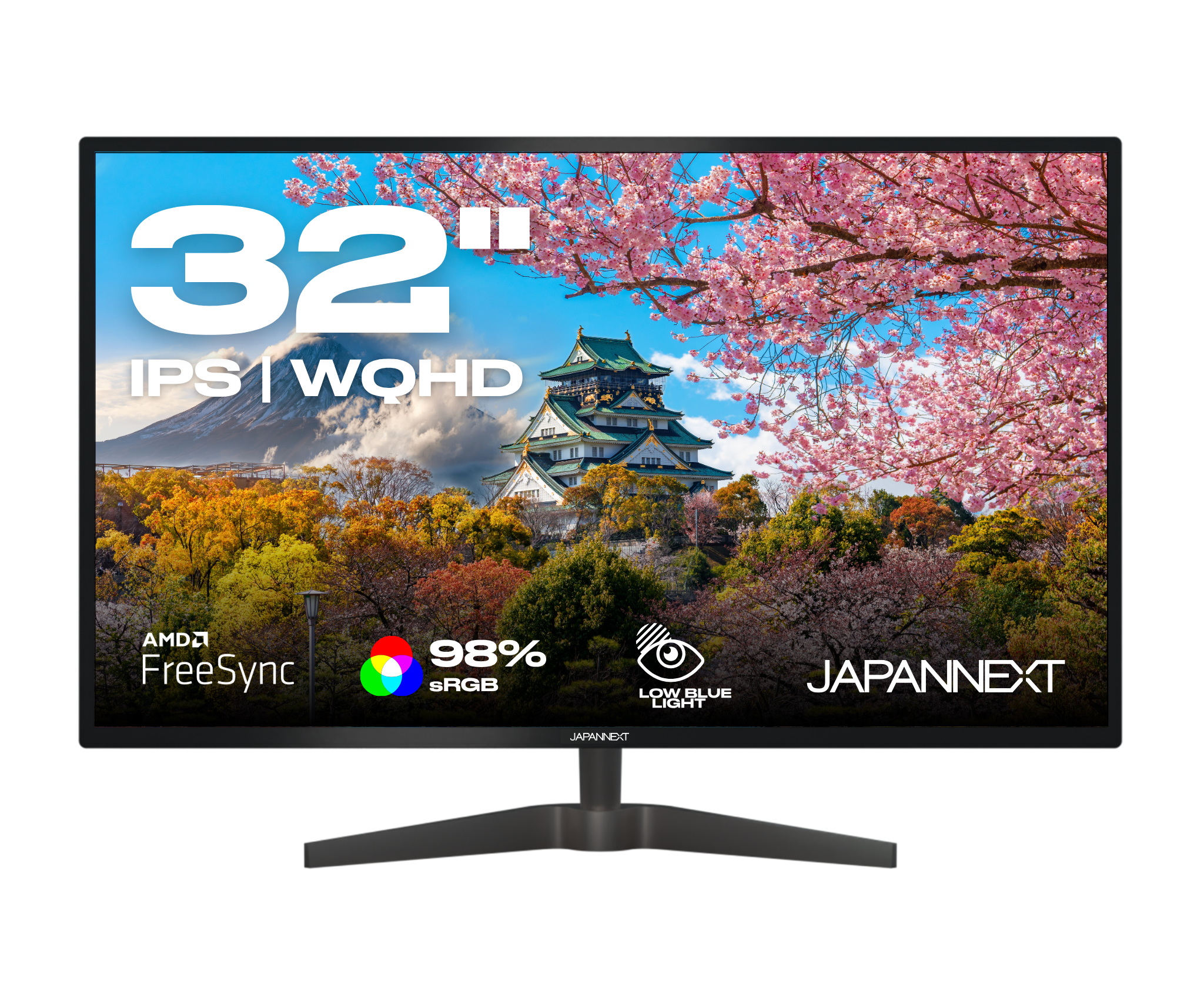 Desktop Monitor | 32" | WQHD | 60Hz (refurbished)