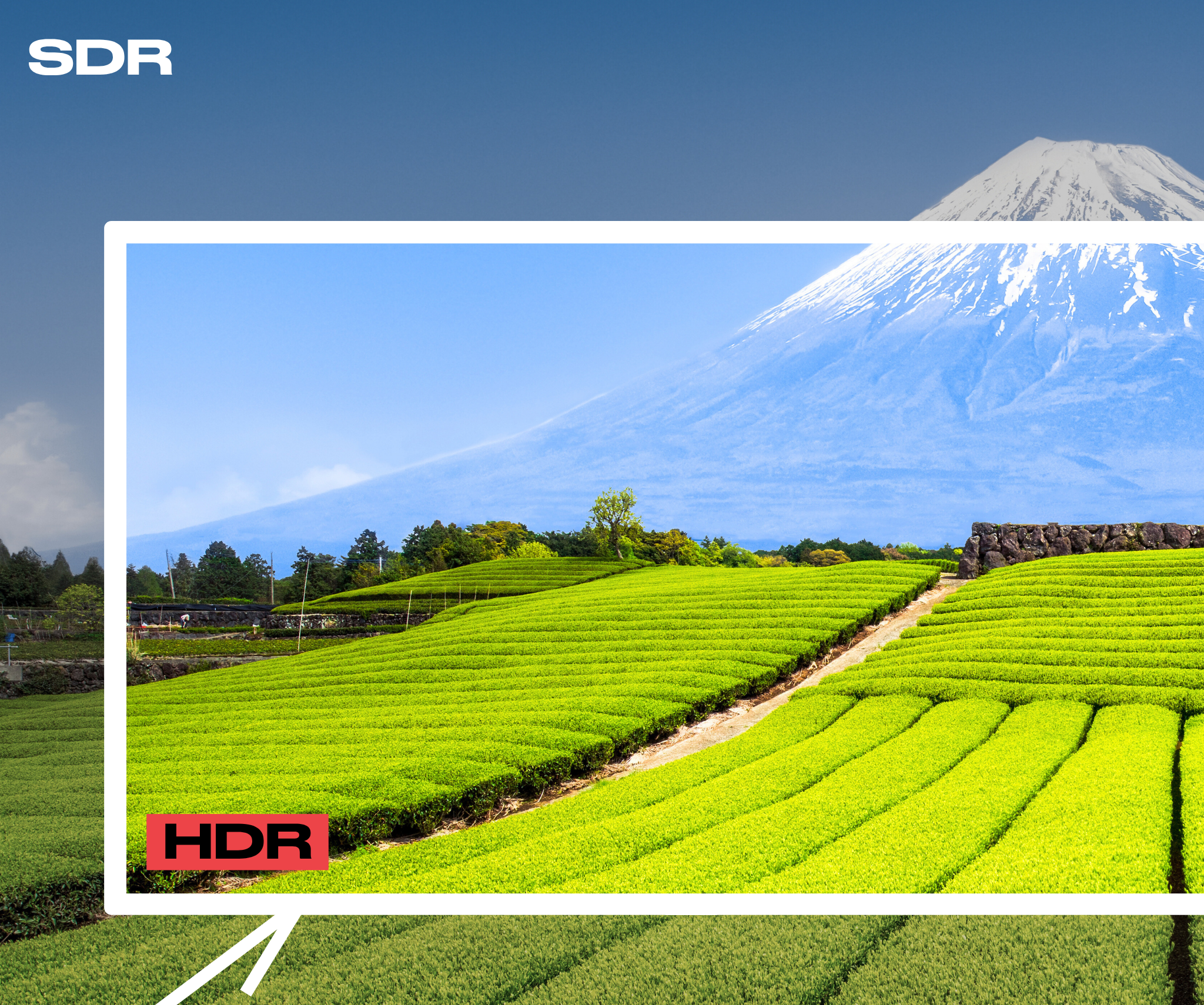 Großformat Monitor | 55“ | IPS | 4K UHD
