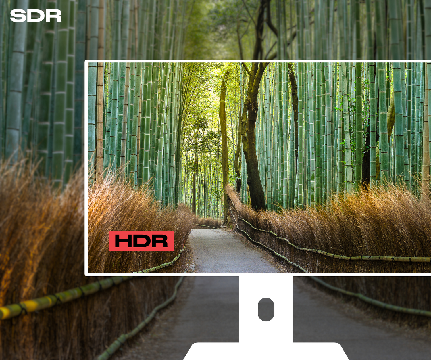Monitor | 27&quot; | WQHD