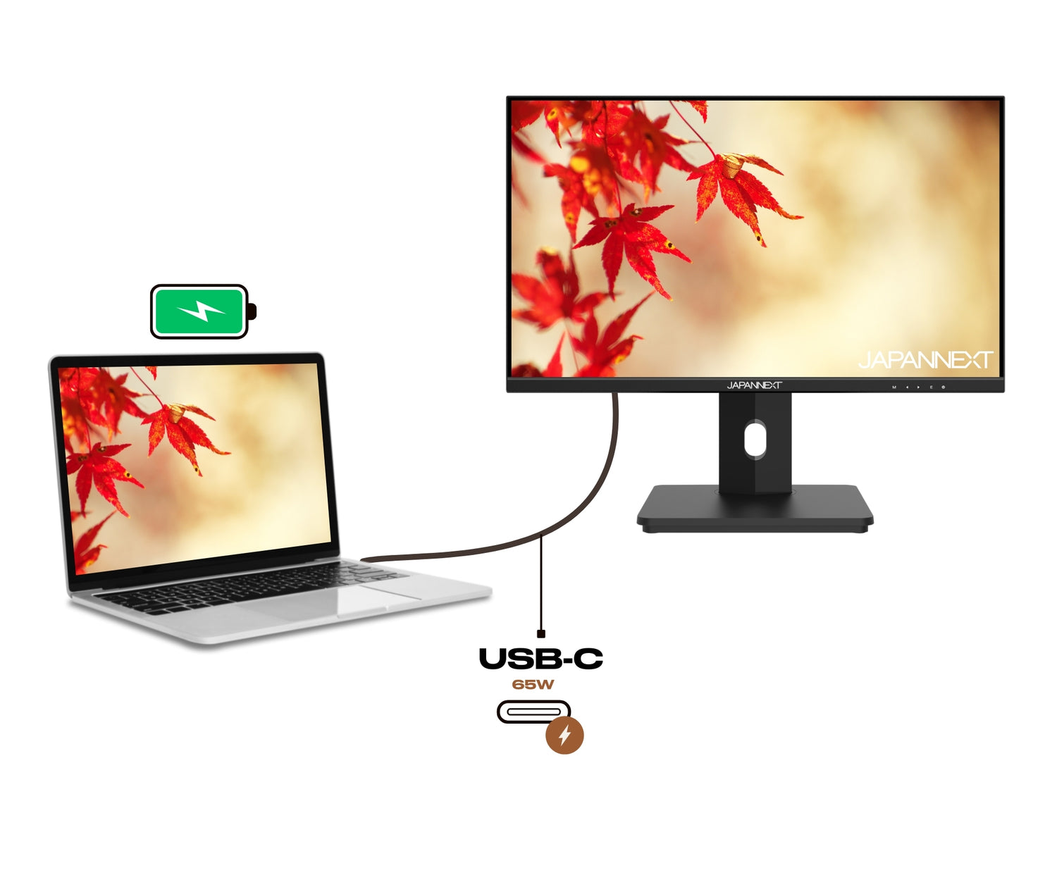 Büro Monitor | 21.5&quot; | FULL HD | USB-C (+ Ladung 65W)