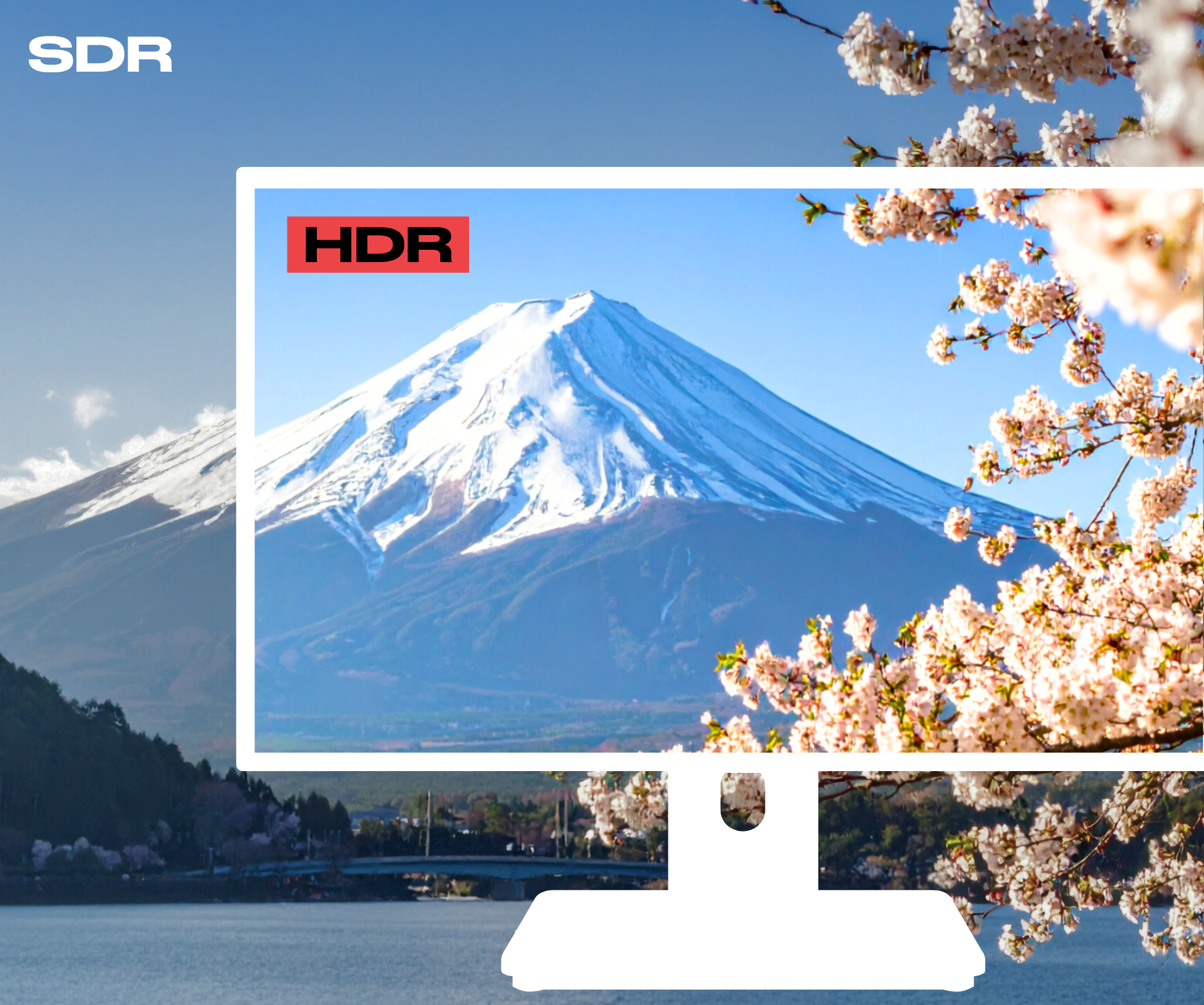 Monitor für den Bürobereich | 21,5&quot; | FHD | Touchscreen | KVM | Stromversorgung 65 W | Ergonomischer Schwenkfuß