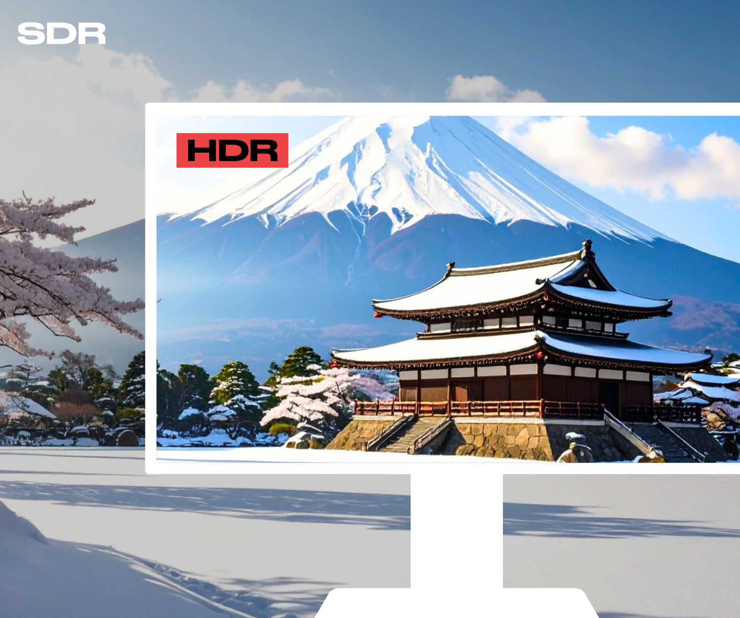 Desktop Monitor | 21,5&quot; | FHD | Touchscreen | USB Hub | KVM