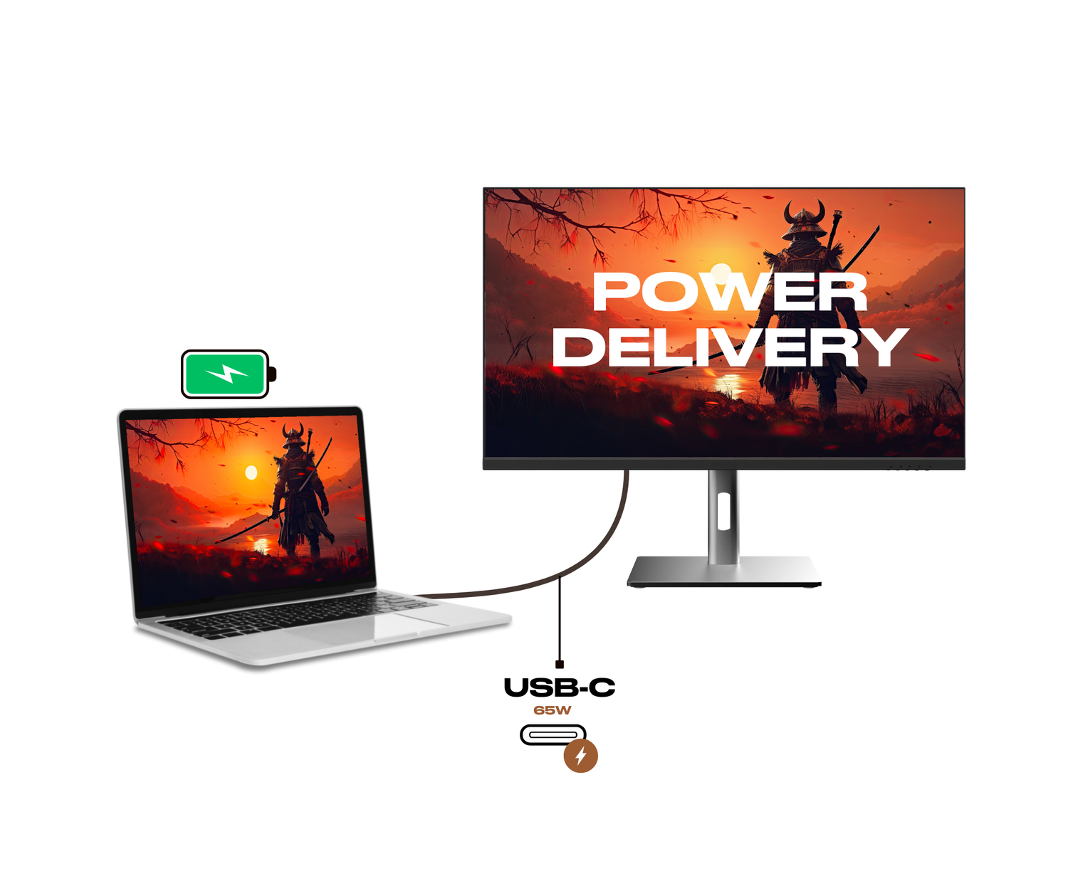 Gaming Monitor | 24.5&quot; | IPS | Full HD | 500Hz | USB-C (+65W charging)