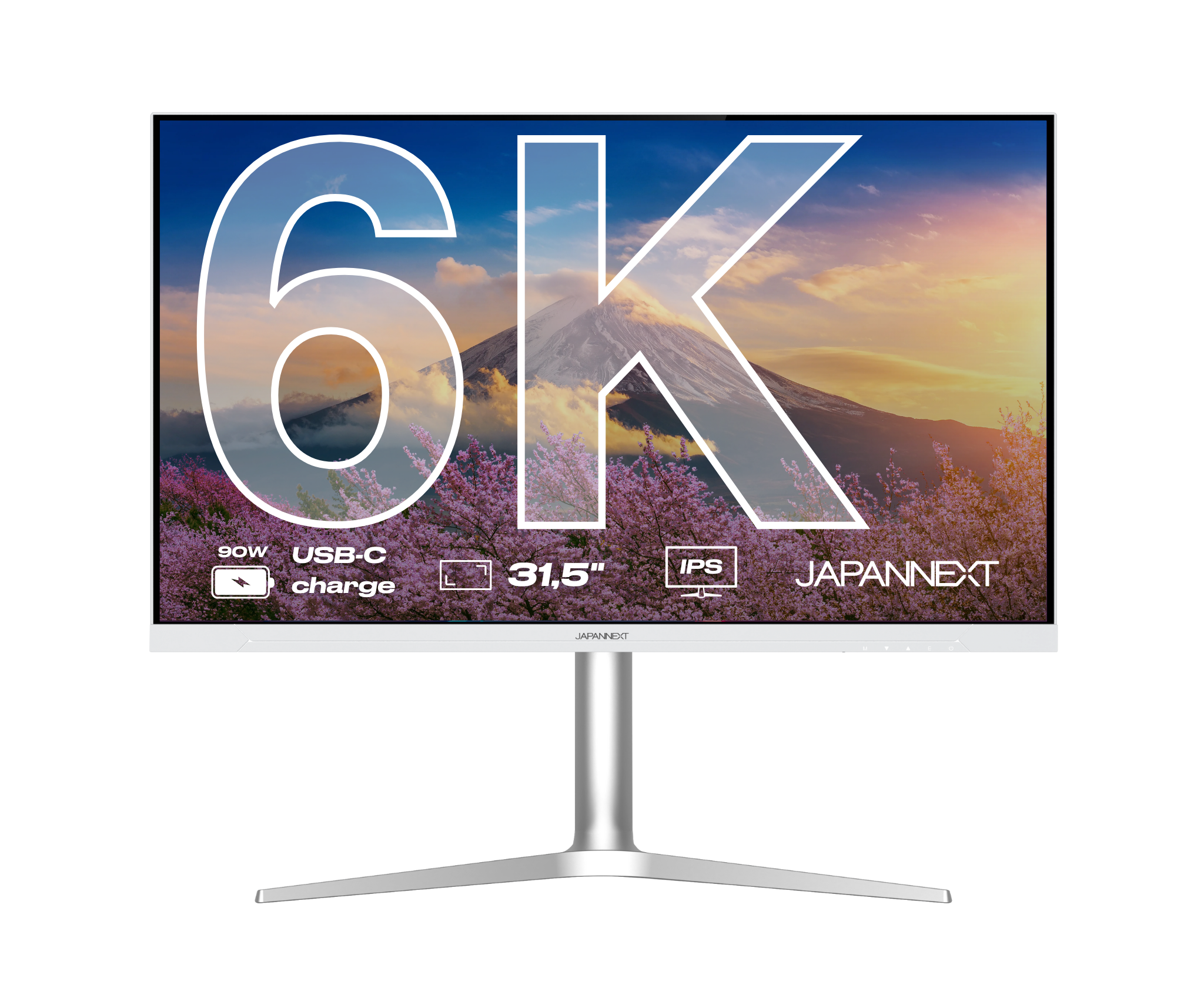 Desktop Monitor | 31,5